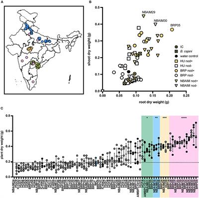 Genomic Diversity of Pigeon Pea (Cajanus cajan L. Millsp.) Endosymbionts in India and Selection of Potential Strains for Use as Agricultural Inoculants